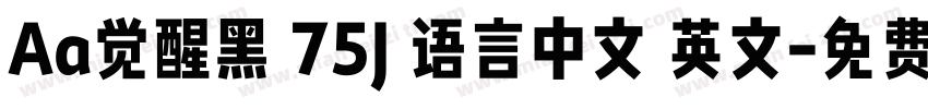 Aa觉醒黑 75J 语言中文 英文字体转换